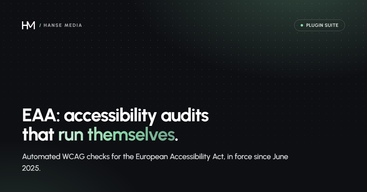 EAA WordPress accessibility audit plugin feature overview